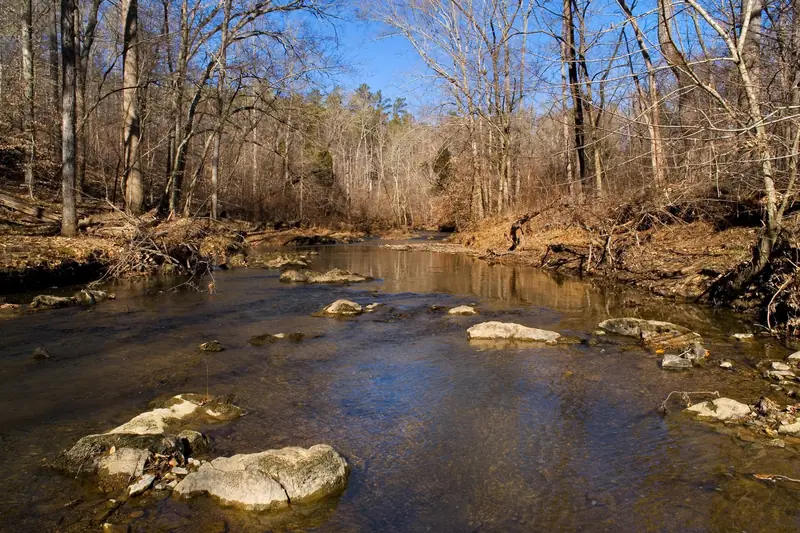 Clear creek water over pale rock shoals under bare winter hardwoods